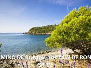 2071 - MEDITERRANEO A 2-6, ZONA TRANQUILA, SOBRE LAS ROCAS, ¡LOS PIES EN EL AGUA! RELAJANTE LUGAR EN EL QUE PODRÁ DESCANSAR BRONCEÁNDOSE. - ES-258-100 - Roses - 5