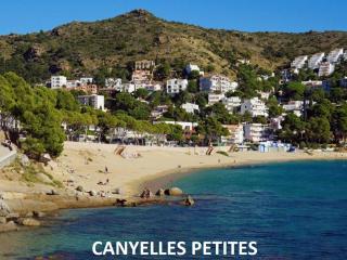 2071 - MEDITERRANEO A 2-6, ZONA TRANQUILA, SOBRE LAS ROCAS, ¡LOS PIES EN EL AGUA! RELAJANTE LUGAR EN EL QUE PODRÁ DESCANSAR BRONCEÁNDOSE. - ES-258-100 - Roses - 3