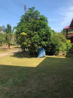 Thanid House - Ban Nai Khlong - 6