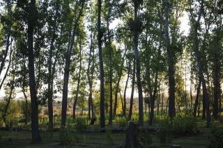 Cabaña Quinta La Gringa, San Rafael - 7