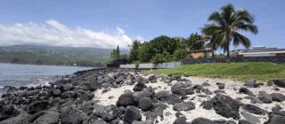 Ô coin des baleines - 7