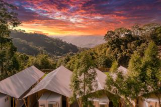 Grow Tree Glamping - 1