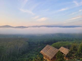 ลานกางเต็นท์&โฮมสเตย์สวนสามใบเถาว์ - Ban Takuk Nua - 1