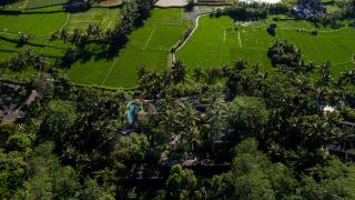 Ubud Padi Villas - Ubud - 6