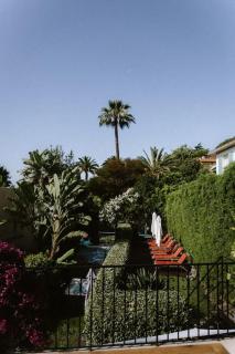 Maison avec jardin tropical à 5 minutes de la Croisette - Cannes - 2