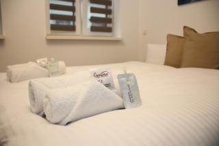 Nibelungen Apartments - Worms-Hochheim - Worms - 4