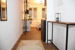 Nibelungen Apartments - Worms-Hochheim - Worms - 7