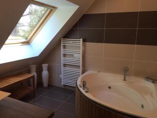 Pura Vida Camaret - Villa Vue Mer - sauna piscine intérieure - 1