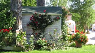 Chambre SEVILLE - Piscine chauffée - Mas Saint-Louis - 1