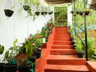 Munnar Valley View - 1