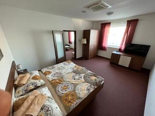 Ubytovanie pod Bielymi Karpatmi - Nové Mesto nad Váhom - 5