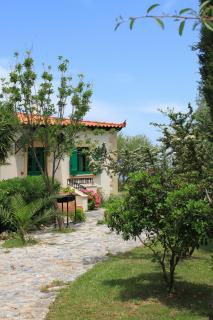 Aspalathos Villas - Fílippos - 8