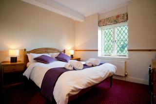 Rose of York - Richmond upon Thames - 9