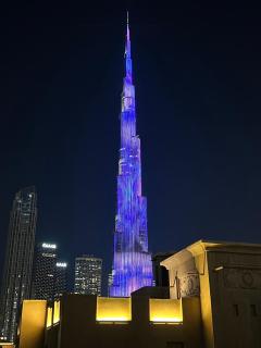 SmartApt Elegant 1 BDR Burj view - Dubaï - 9