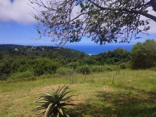 Map of Africa Luxury Caravan with private bathroom with sea view - Wilderness - 0