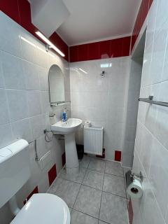 Vila Artemis Straja - 2