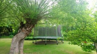 Ferienwohnung Teschow - Teschow - 3