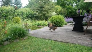 Ferienwohnung Teschow - Teschow - 1