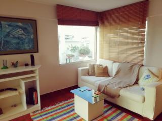 Sacred Way rooftop apartment - Athens - 4