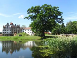 Urlaub im Fachwerkhaus - Basedow - 5