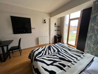 Cozy studio apartment in New Gudauri - 4