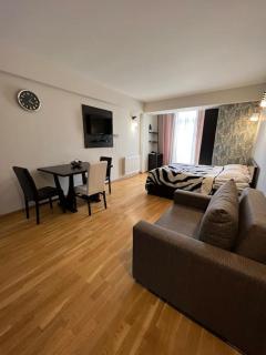 Cozy studio apartment in New Gudauri - 3
