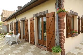 Les colchiques - Racines - 9