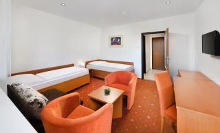 Hotel Academia - Tatranská Lomnica - 1