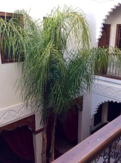 Riad Ghali Hotel & SPA - Marrakech - 5