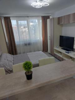 RG Garsoniera Central - 1