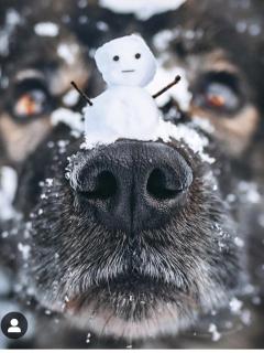 Apt. Kop for you - 7