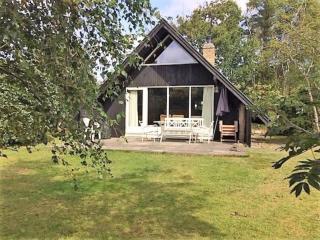 Cozy Holiday cottage at Ringkøbing Fjord - Hemmet - 0