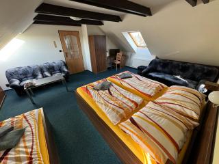 Pension u Svateho Jana - Hradec Králové - 1