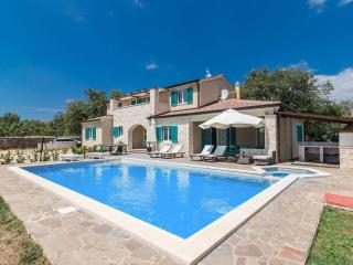 Villa Martha in Central Istria with private pool - wellness & table tennis for 12 persons - Žminj - 5