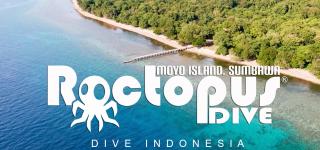 Roctopus Dive Center and Hostel - Moyo Island - 4