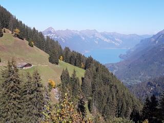 DesAlpes - Saxeten - 0