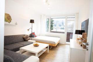 Apartmány na Tanvaldském Špičáku - Jiřetín pod Bukovou - 8