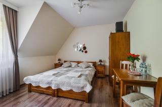 WillaByTheRiver JACUZZI & SAUNA - Poronin - 9