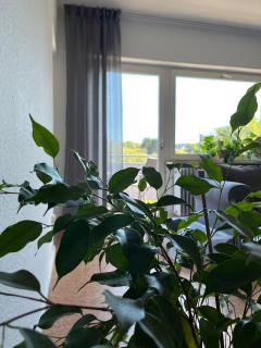 Ferienwohnung Wiesenblick - Illingen - 5