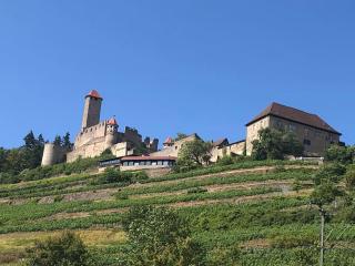 Ferienwohnung Zeitlos - Gundelsheim - 4