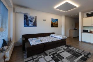 Apartma Planika - Kranjska Gora - 2