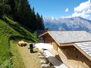 The Big Bear - La Tzoumaz - 7