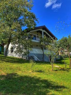 Casa Chirica - Borşa - 9
