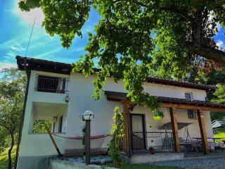 Casa Chirica - Borşa - 8