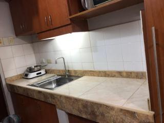 1BR Condo Unit W/ Fantastic View near US Embassy - 8