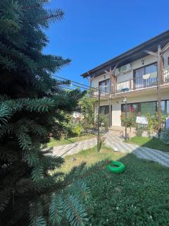 CASA SMARALD - Costinesti - 9