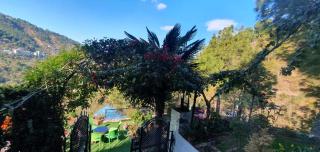 Wonderful Homestay - 9