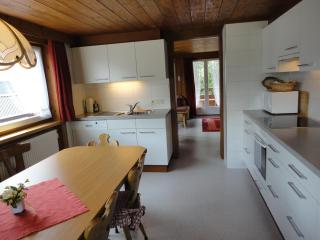 Haus Mellenbach - Mellau - 8