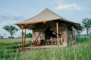 Zawadi Camp - Serengeti - 5