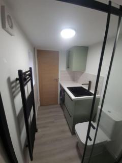 Converted garage ensuite - 9